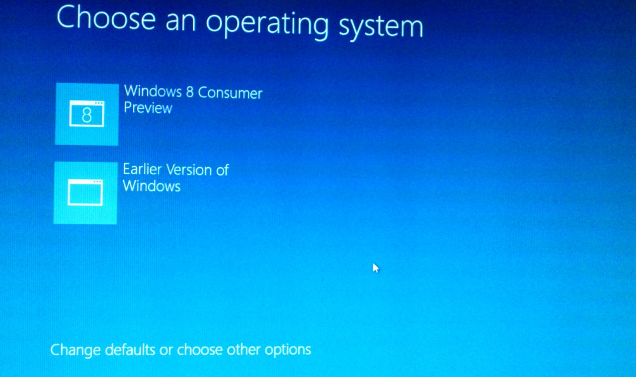 Windows 8 Developer Preview Installation